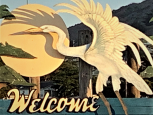 Welcome! Welcome!